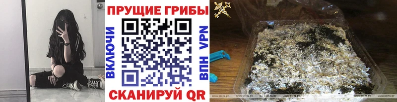 Псилоцибиновые грибы MAGIC MUSHROOMS  мориарти как зайти  Рыбное 